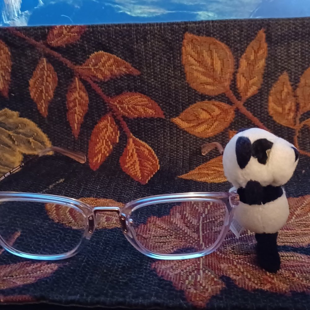 New Vintage Icon Eyewear Kids Eyeglasses buddy / Pal Panda Fit All Glasses